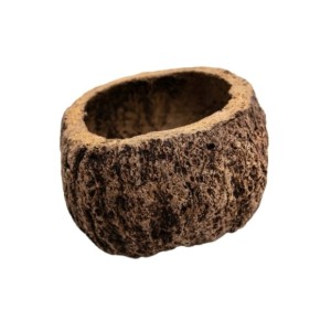 CASCA COCO DA CASTANHA DO PARA - UND